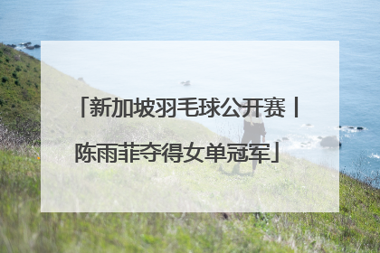 新加坡羽毛球公开赛丨陈雨菲夺得女单冠军