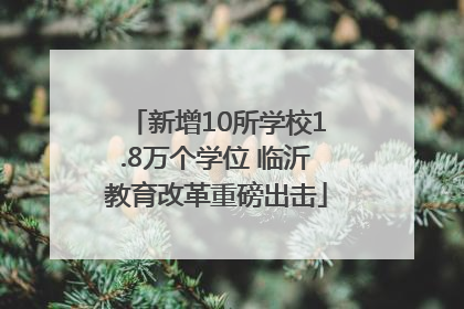 新增10所学校1.8万个学位 临沂教育改革重磅出击