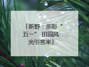 新野：多彩“五一” 田园风光引客来
