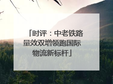 时评：中老铁路量效双增领跑国际物流新标杆