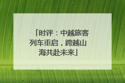 时评：中越旅客列车重启，跨越山海共赴未来