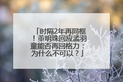 时隔2年再同框！董明珠回应孟羽童能否再回格力：为什么不可以？