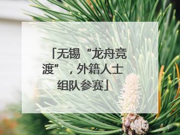 无锡“龙舟竞渡”，外籍人士组队参赛