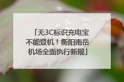 无3C标识充电宝不能登机！衡阳南岳机场全面执行新规