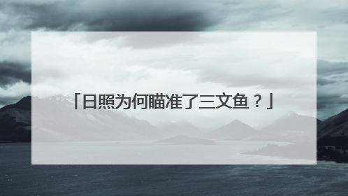 日照为何瞄准了三文鱼？