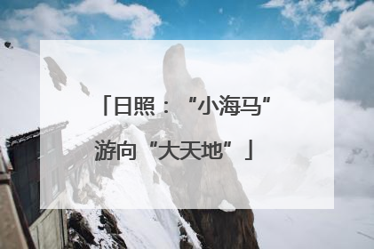 日照：“小海马”游向“大天地”