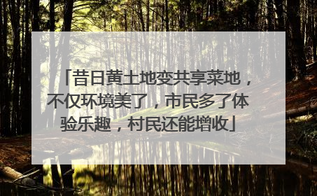昔日黄土地变共享菜地，不仅环境美了，市民多了体验乐趣，村民还能增收