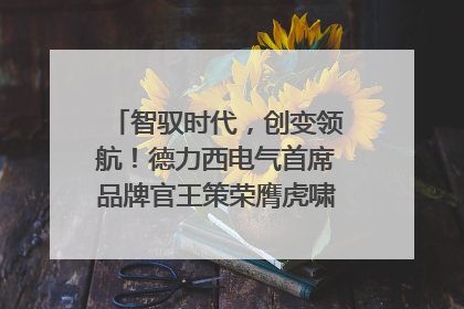 智驭时代，创变领航！德力西电气首席品牌官王策荣膺虎啸奖年度品牌人物