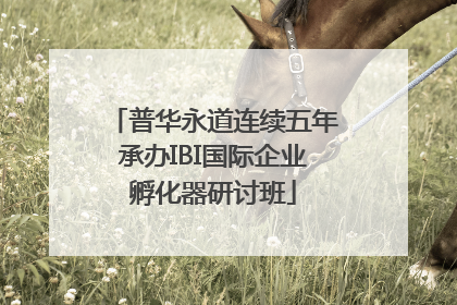 普华永道连续五年承办IBI国际企业孵化器研讨班