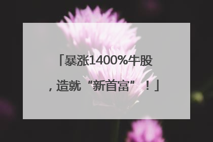 暴涨1400%牛股，造就“新首富”！