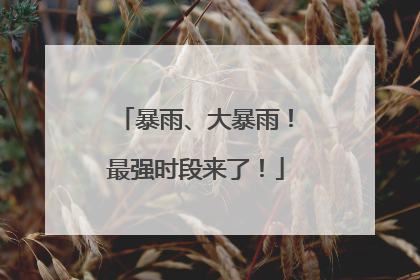 暴雨、大暴雨！最强时段来了！