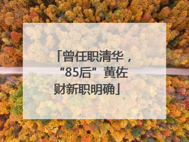 曾任职清华，“85后”黄佐财新职明确