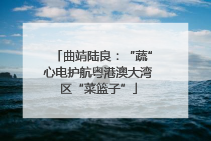曲靖陆良：“蔬”心电护航粤港澳大湾区“菜篮子”