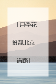 月季花扮靓北京道路