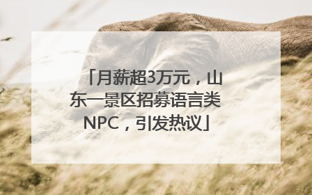 月薪超3万元，山东一景区招募语言类NPC，引发热议