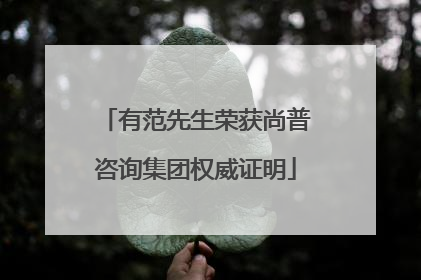 有范先生荣获尚普咨询集团权威证明
