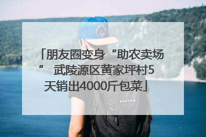 朋友圈变身“助农卖场” 武陵源区黄家坪村5天销出4000斤包菜