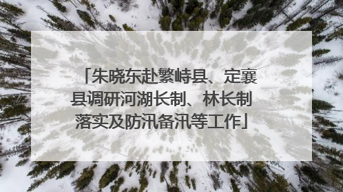 朱晓东赴繁峙县、定襄县调研河湖长制、林长制落实及防汛备汛等工作