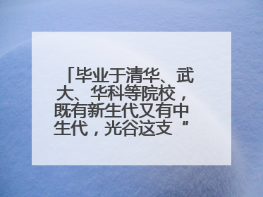 毕业于清华、武大、华科等院校，既有新生代又有中生代，光谷这支“理工男团”为何“出道”？