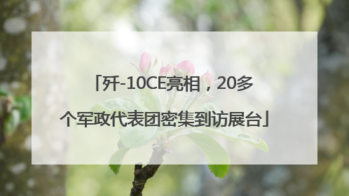 歼-10CE亮相，20多个军政代表团密集到访展台