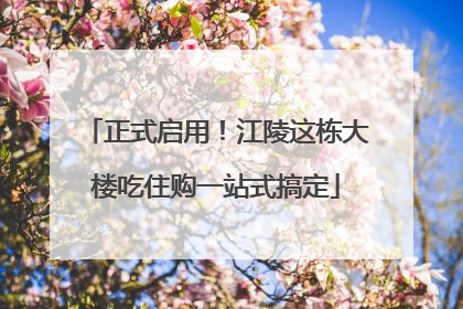 正式启用！江陵这栋大楼吃住购一站式搞定