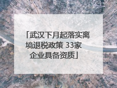 武汉下月起落实离境退税政策 33家企业具备资质