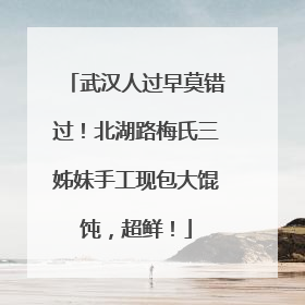 武汉人过早莫错过！北湖路梅氏三姊妹手工现包大馄饨，超鲜！