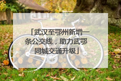 武汉至鄂州新增一条公交线，助力武鄂同城交通升级