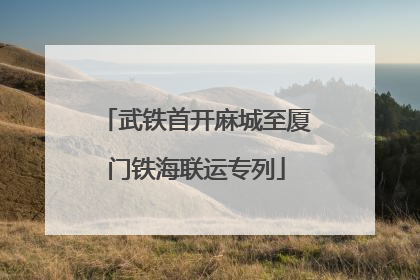 武铁首开麻城至厦门铁海联运专列