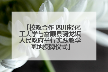 校政合作 四川轻化工大学与富顺县骑龙镇人民政府举行实践教学基地授牌仪式