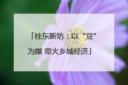 桂东新坊：以“豆”为媒 带火乡域经济