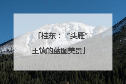 桂东：“头雁”王镇的蓝图美景