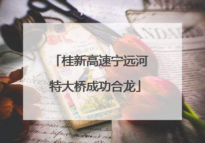 桂新高速宁远河特大桥成功合龙