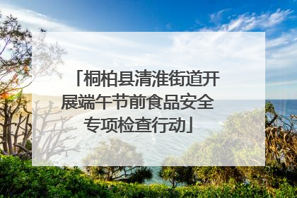 桐柏县清淮街道开展端午节前食品安全专项检查行动
