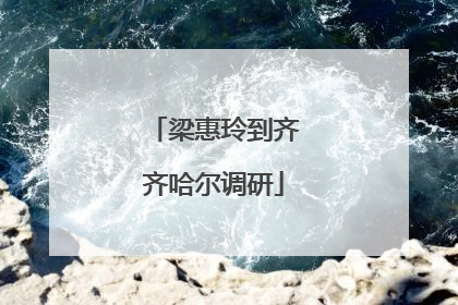 梁惠玲到齐齐哈尔调研