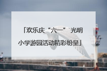 欢乐庆“六一” 光明小学游园活动精彩纷呈