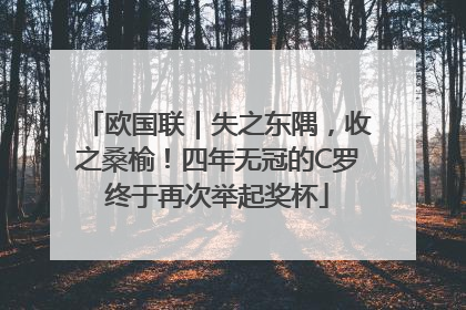 欧国联｜失之东隅，收之桑榆！四年无冠的C罗终于再次举起奖杯