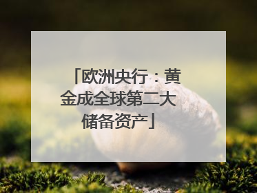 欧洲央行：黄金成全球第二大储备资产