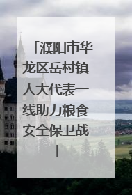 濮阳市华龙区岳村镇人大代表一线助力粮食安全保卫战