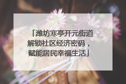 潍坊寒亭开元街道解锁社区经济密码，赋能居民幸福生活