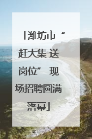 潍坊市“赶大集 送岗位” 现场招聘圆满落幕