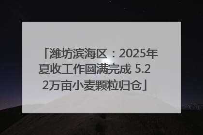 潍坊滨海区：2025年夏收工作圆满完成 5.22万亩小麦颗粒归仓