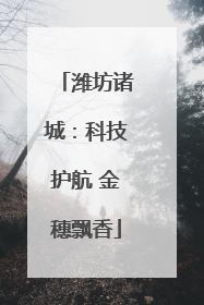 潍坊诸城：科技护航 金穗飘香