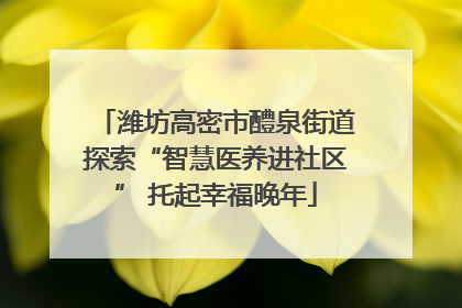 潍坊高密市醴泉街道探索“智慧医养进社区” 托起幸福晚年