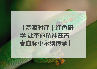 澧源时评｜红色研学 让革命精神在青春血脉中永续传承