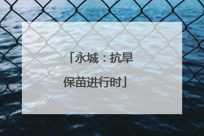 永城：抗旱保苗进行时