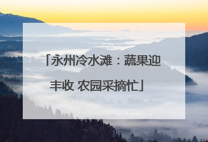 永州冷水滩：蔬果迎丰收 农园采摘忙