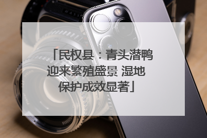 民权县：青头潜鸭迎来繁殖盛景 湿地保护成效显著