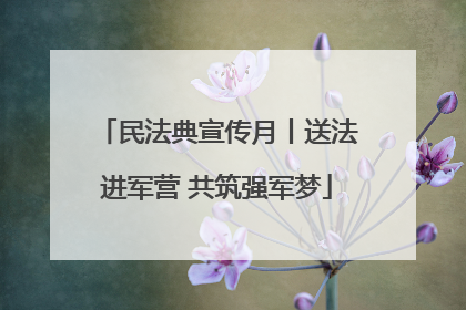 民法典宣传月丨送法进军营 共筑强军梦