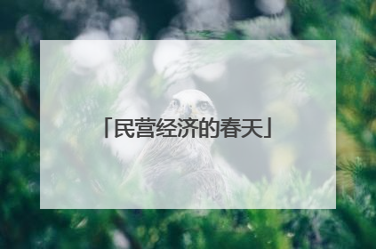 民营经济的春天